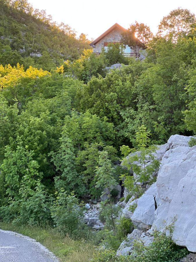 House On The Hill Villa Cetinje Exterior photo